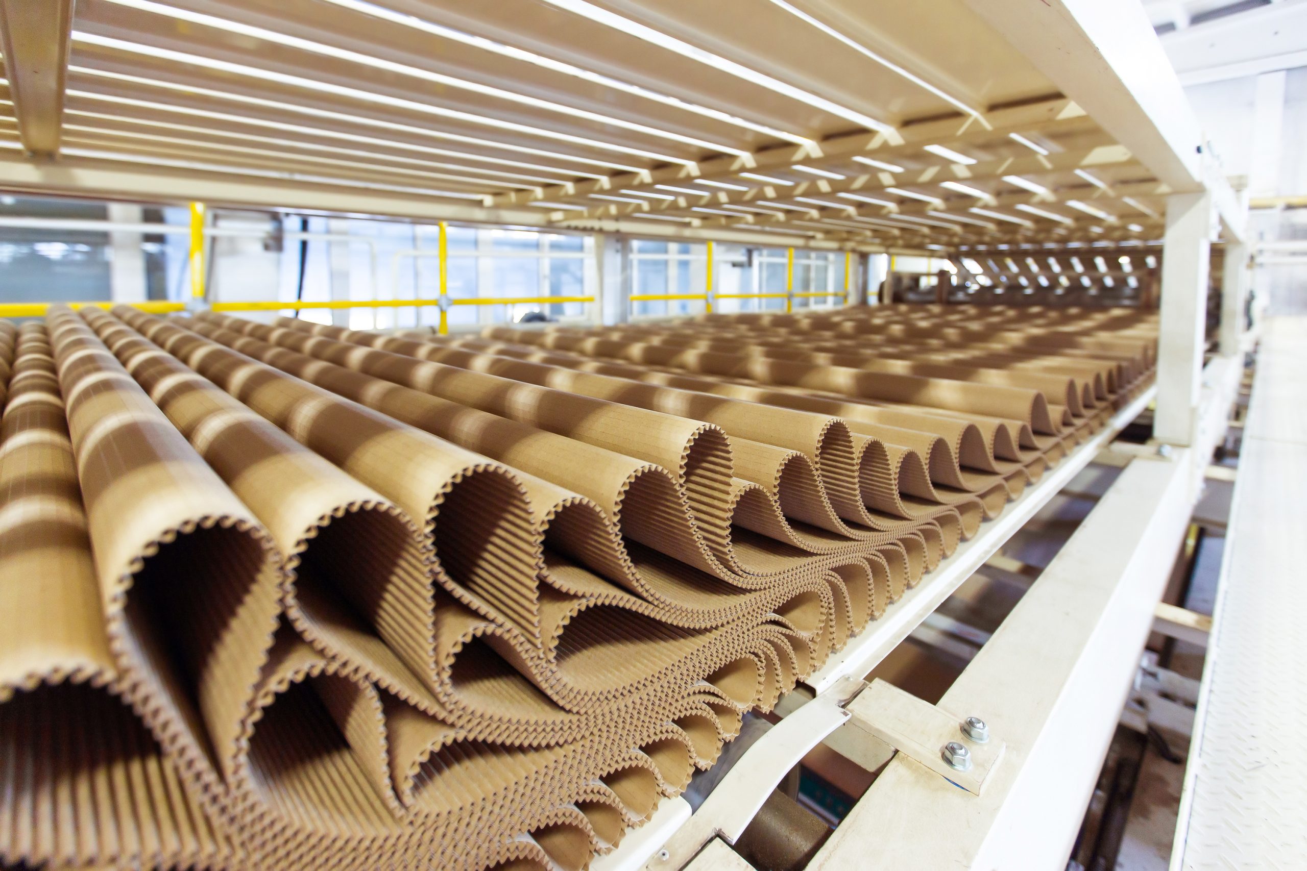 A large industrial conveyor with rolls upon rolls of corrugated cardboard. The cardboard sheets are folded into each other.